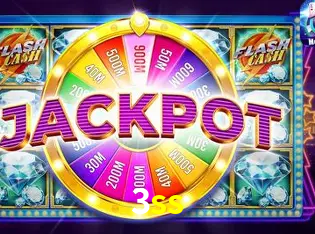 Interface Premium 3ss